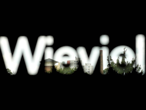 EXHIBITION DESIGN – WIEVIEL